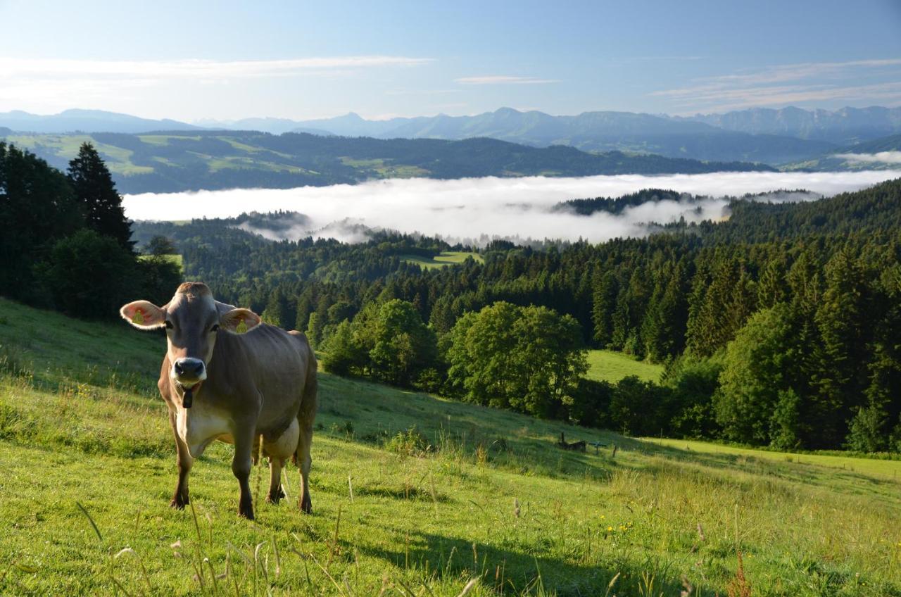 Hotel Alpenrose Gut Schlafen & Fruehstuecken Scheidegg Exterior foto